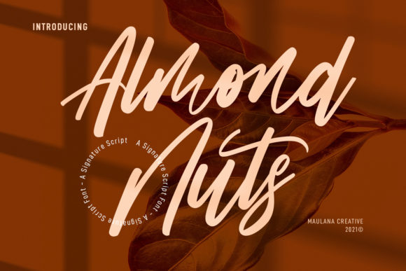 Almond Nuts Font for Polished Branding