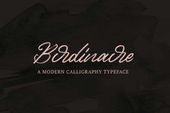 Birdinaire Font for Web Design and Branding