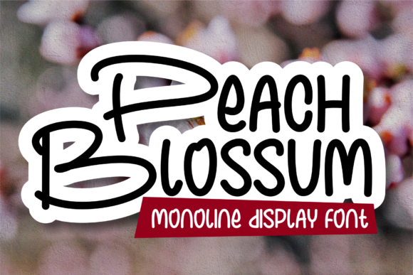 Peach Blossum Font for Editorial Design