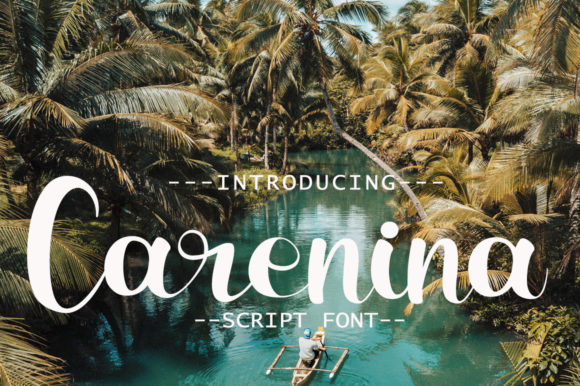 Testing Carenina for a Modern Web Design Project